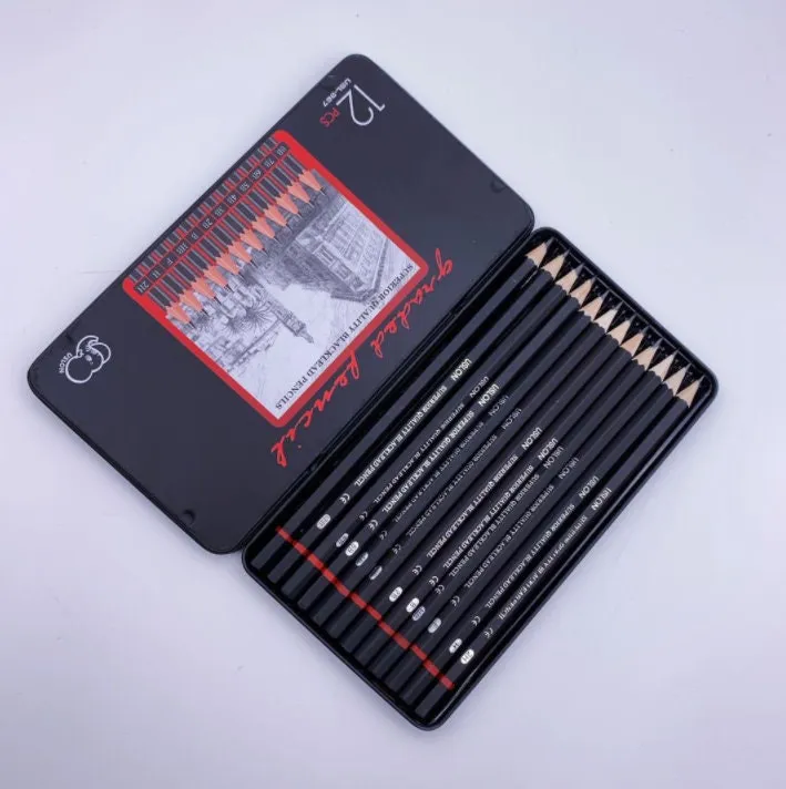 12 Pcs Drawing Pencils Set - Drawing Supplies - Sketch Sketching Kit - Professional Art Supplies Tools - Gift Set for Artist Pastel