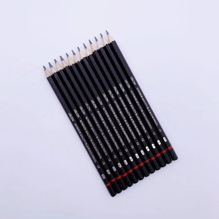 12 Pcs Drawing Pencils Set - Drawing Supplies - Sketch Sketching Kit - Professional Art Supplies Tools - Gift Set for Artist Pastel