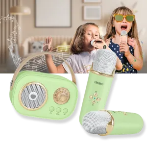 Bluetooth Dual Mic Kids Mini Karaoke