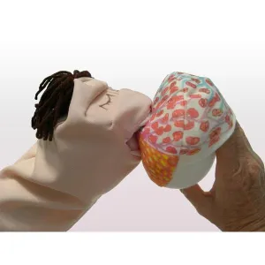 Breastfeeding Hand Puppet