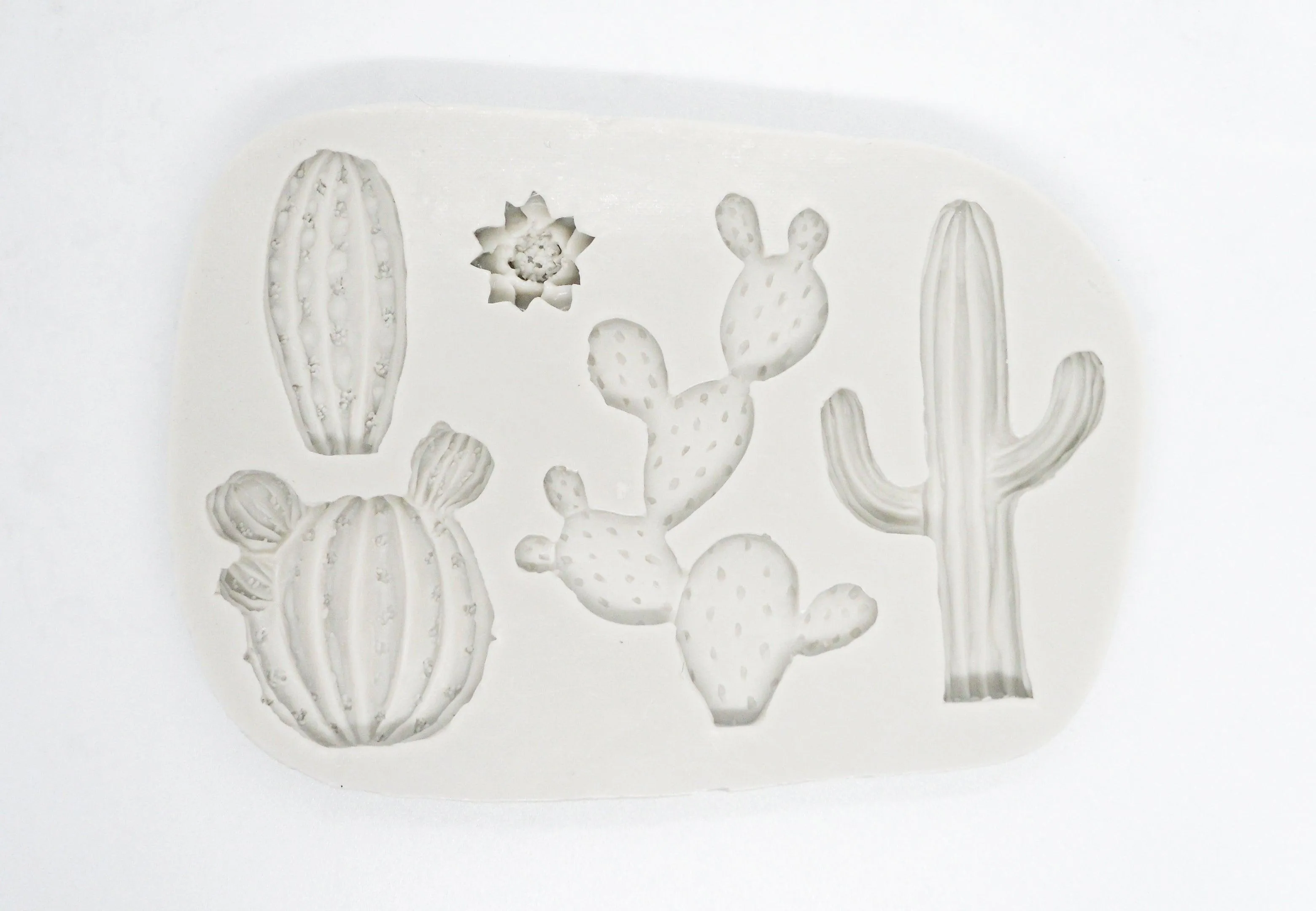 Cactus Mold