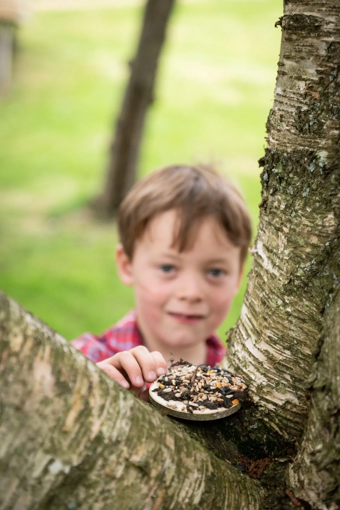 Den Kit Bird Feeding Pizza Kit
