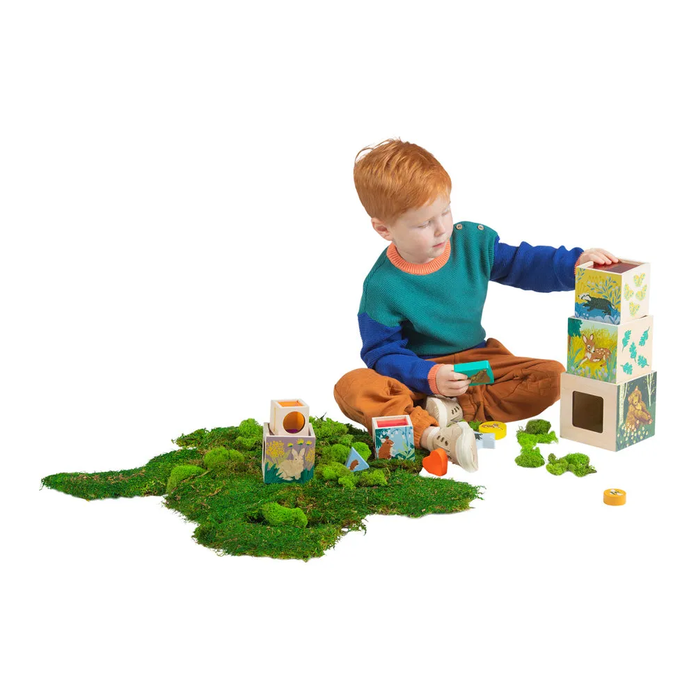 Enchanted Forest Stacking Blocks