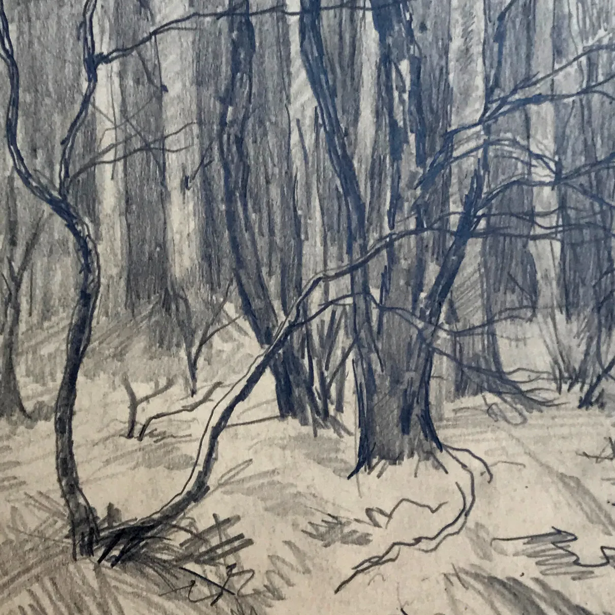 Evert Rabbers Landscape Drawing 63