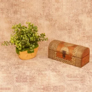 Half Round Brass Box