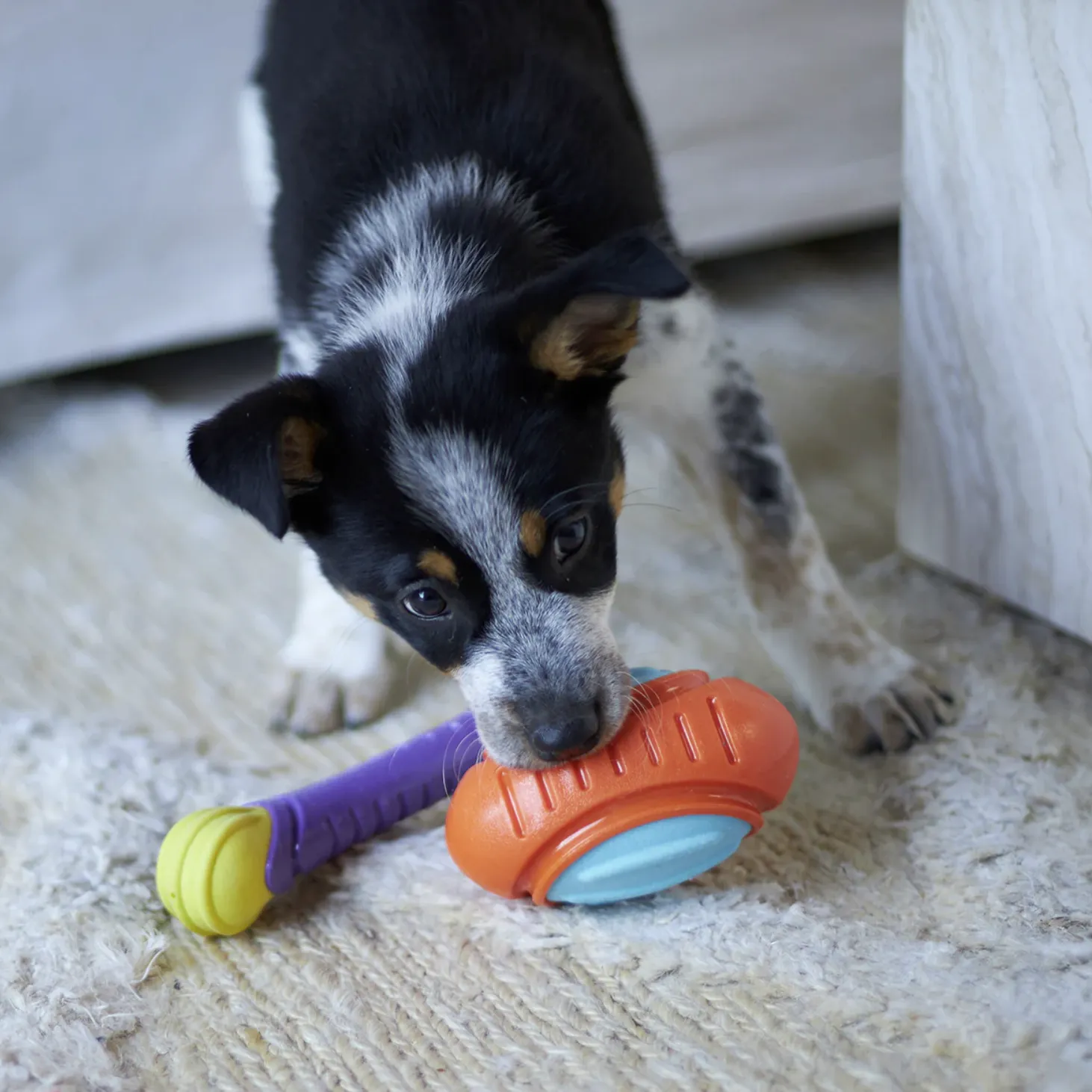 Kazoo Dog Toy Extreme Play Tough Footy