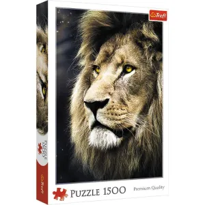 Lions Portrait