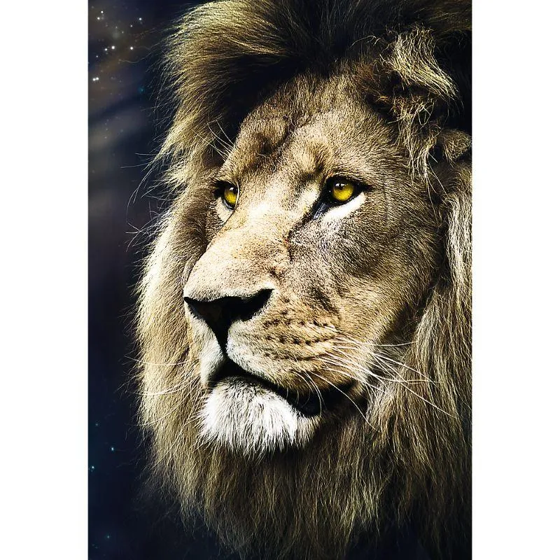 Lions Portrait