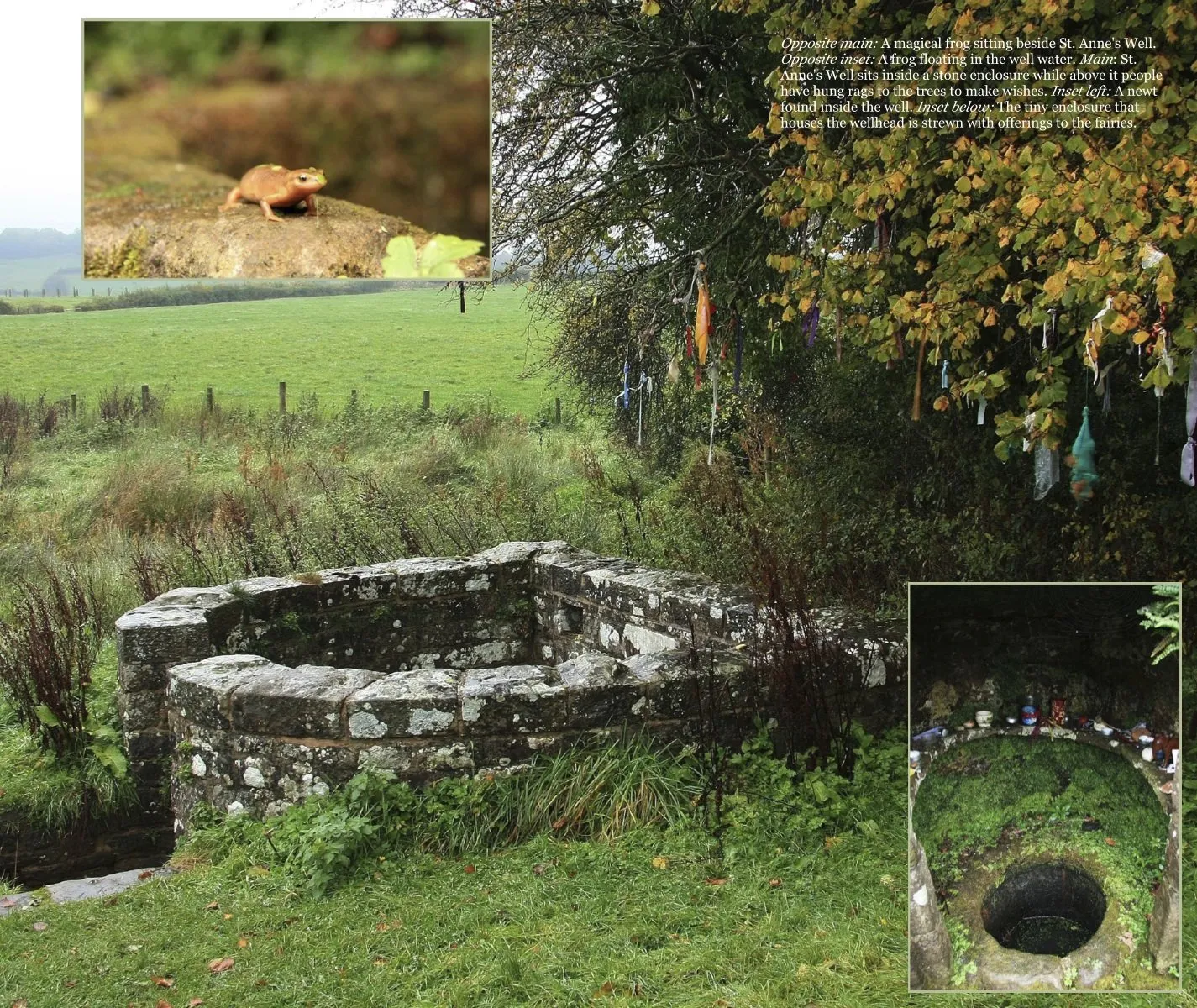 Magical Places Of Britain Book by Rob Wildwood