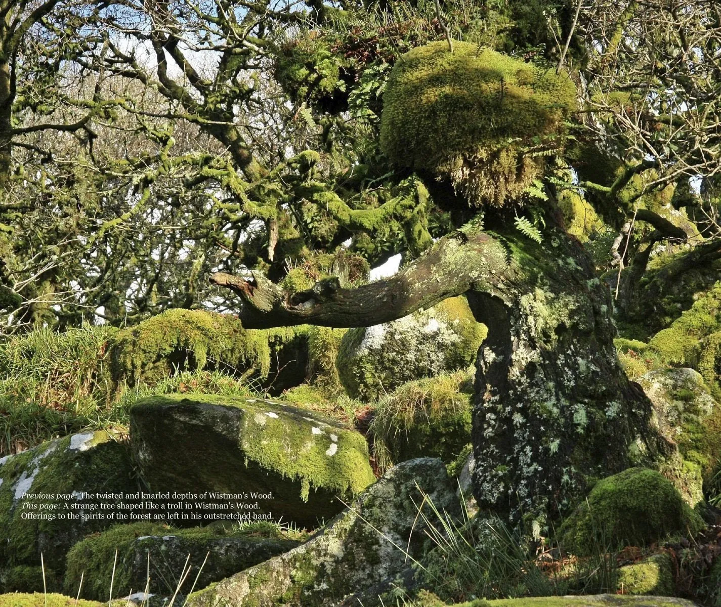 Magical Places Of Britain Book by Rob Wildwood