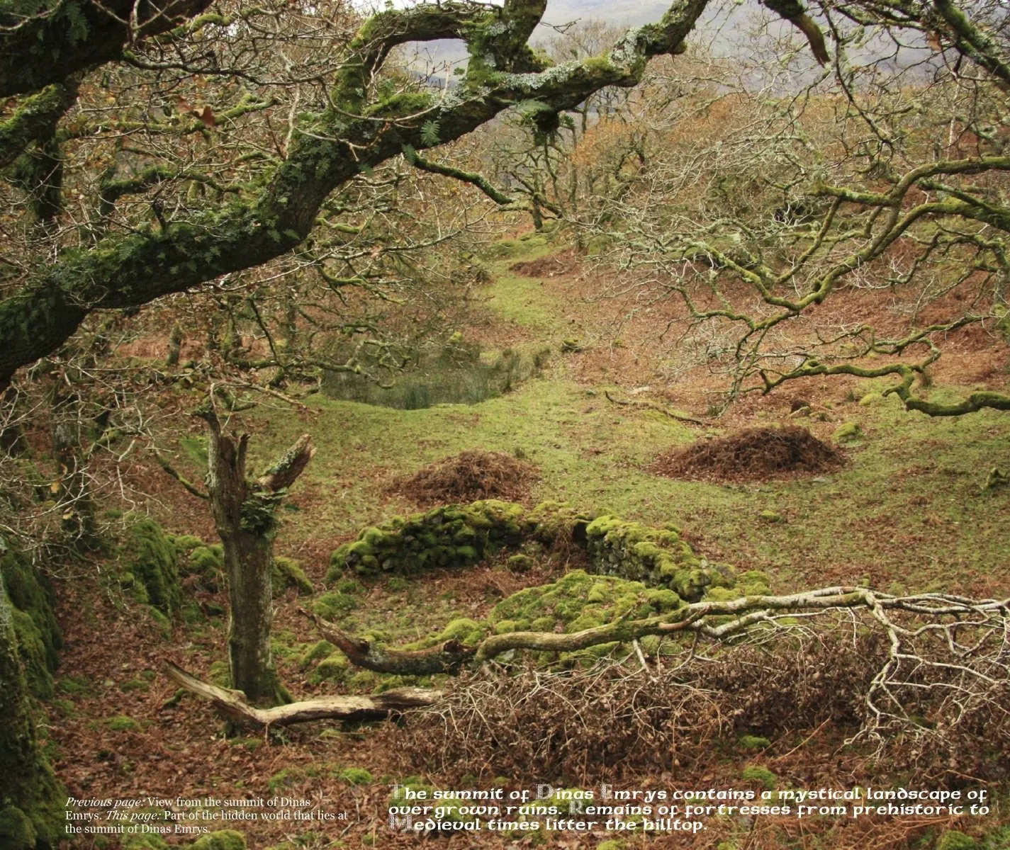 Magical Places Of Britain Book by Rob Wildwood