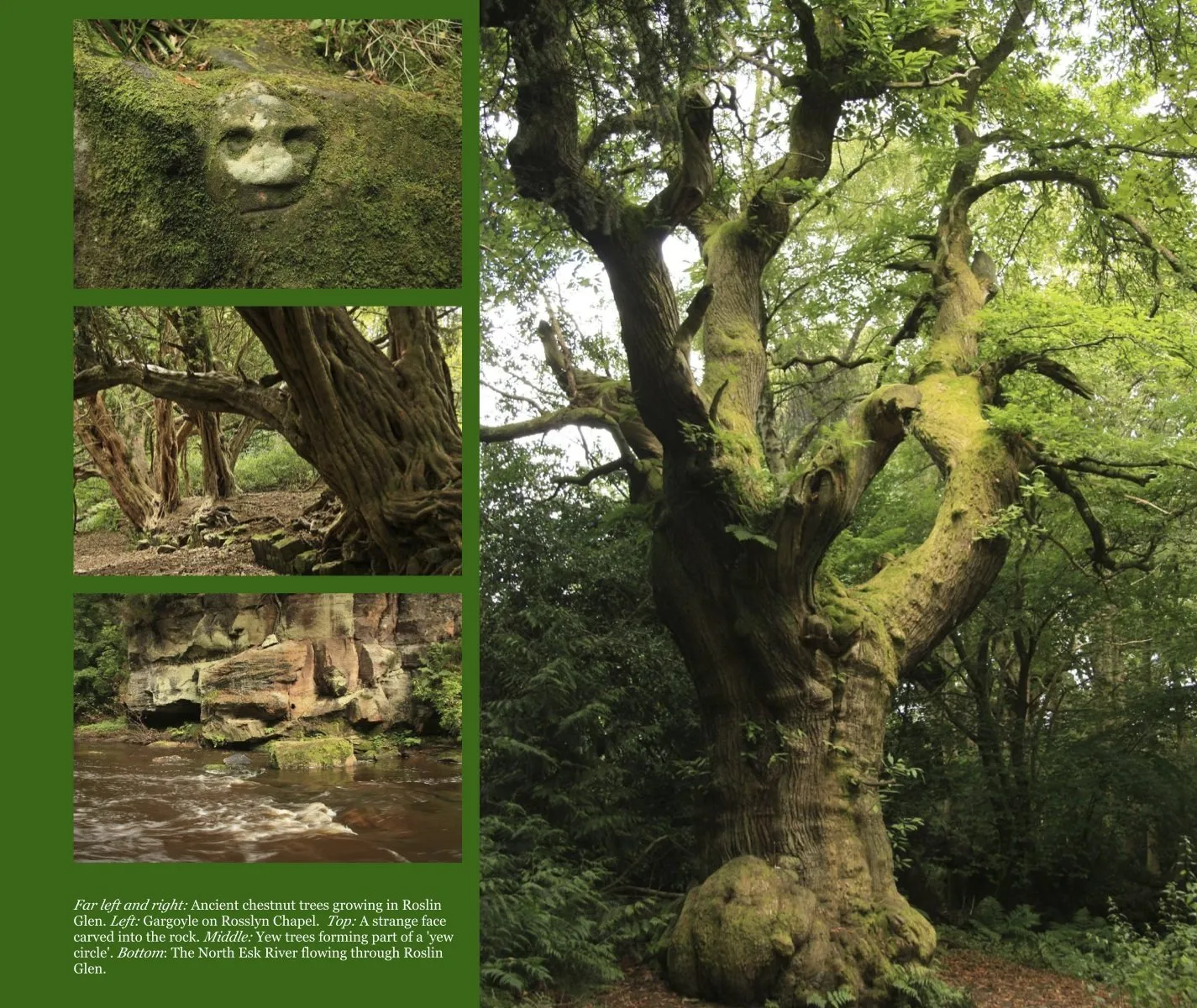 Magical Places Of Britain Book by Rob Wildwood