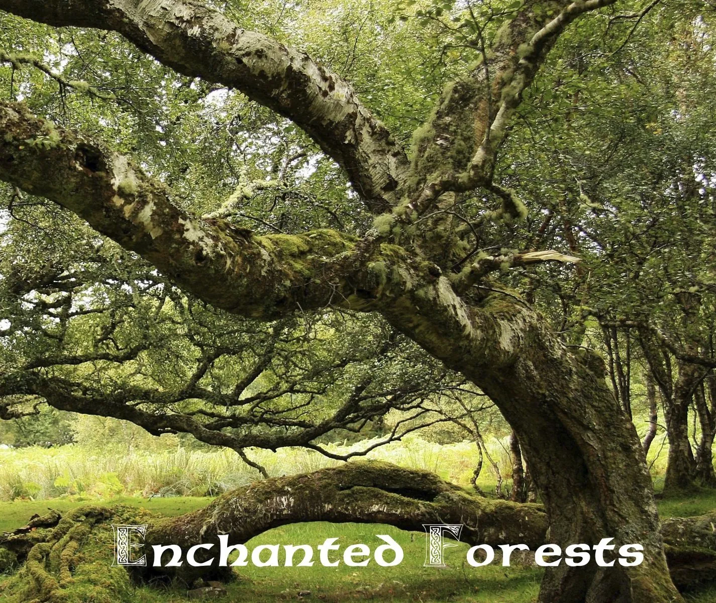 Magical Places Of Britain Book by Rob Wildwood