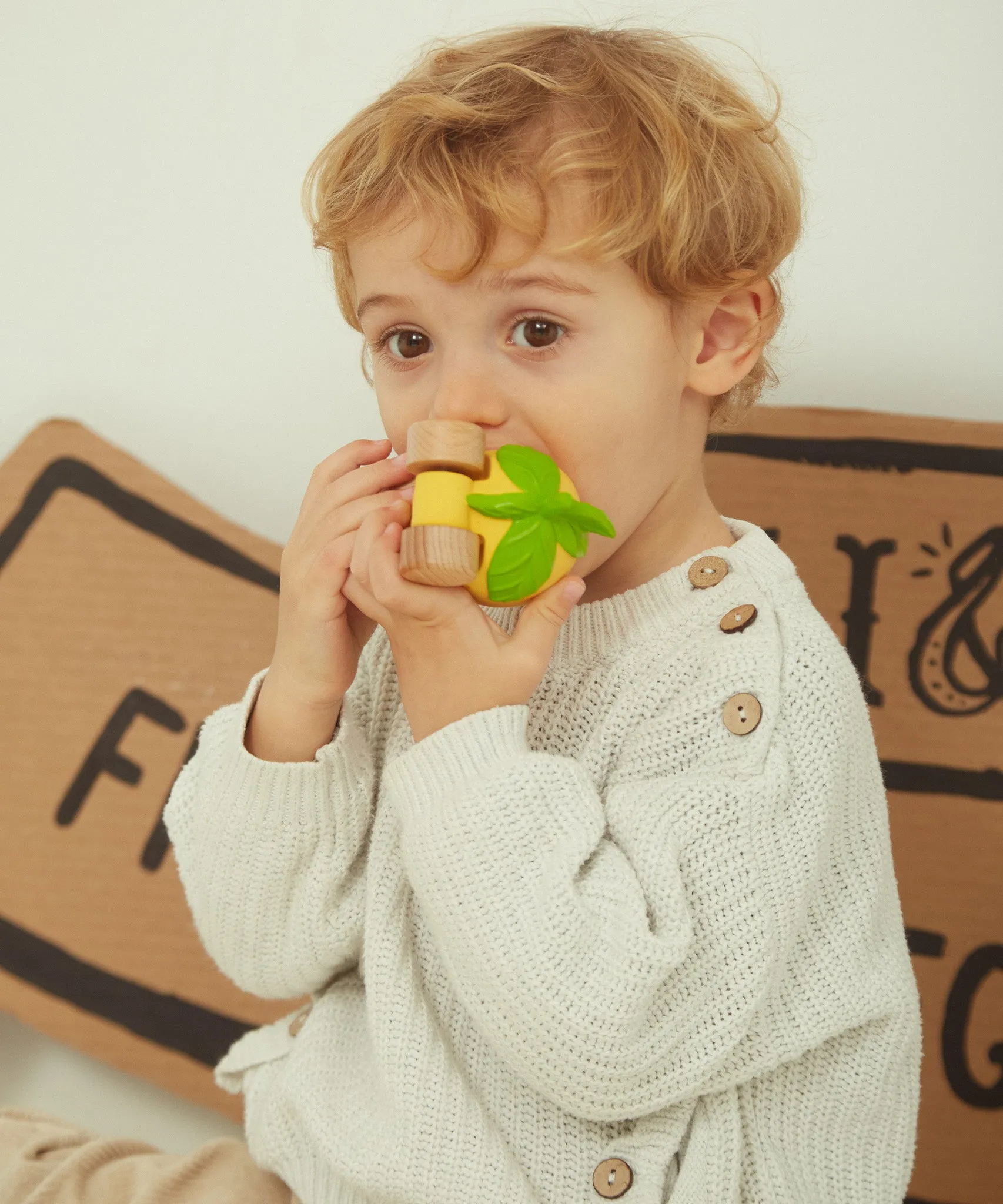 Oli & Carol Lou The Lemon Car
