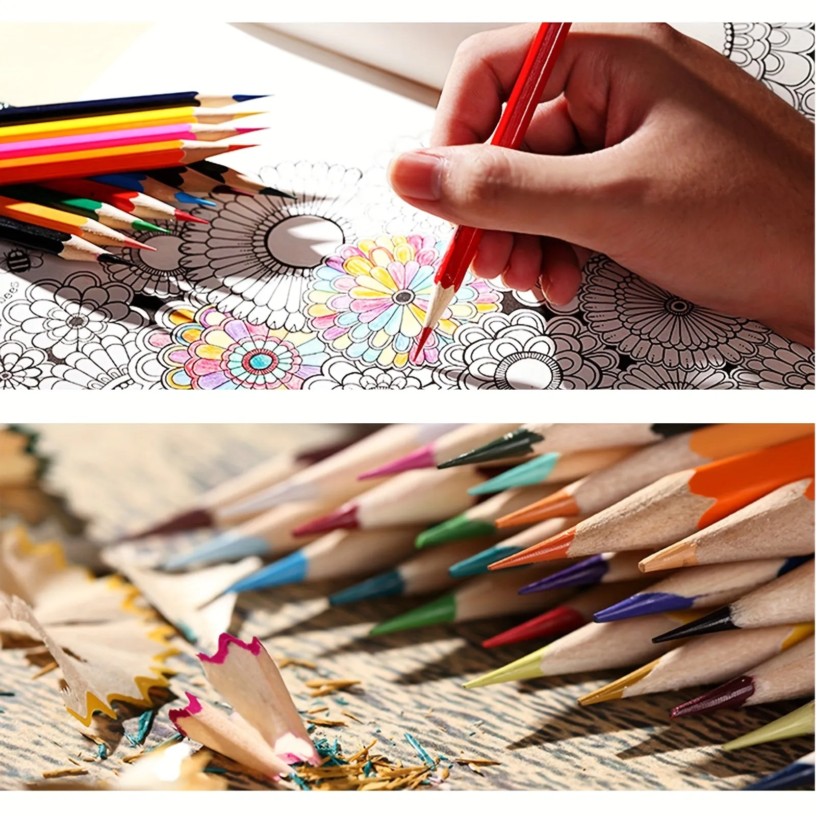 Vibrant Colored Pencils for Adult Art and Coloring Projects