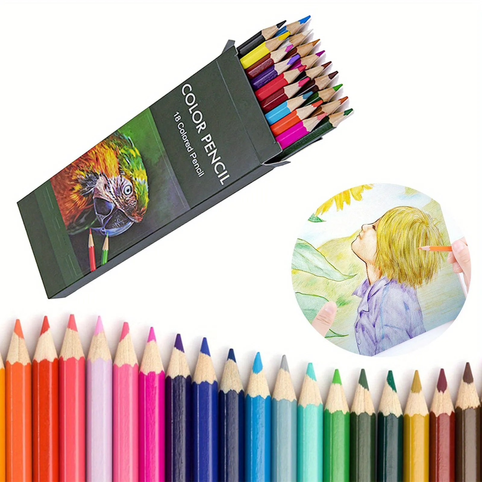 Vibrant Colored Pencils for Adult Art and Coloring Projects